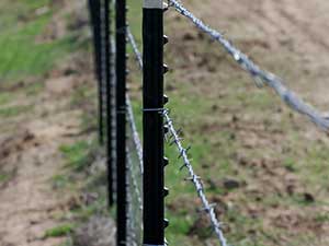 Barbed Wire